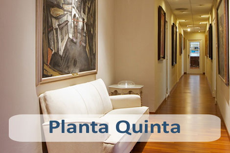 Planta Quinta