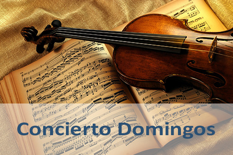 Concierto Domingos