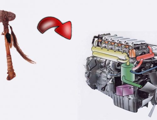 El dominio de la energía; del hacha de sílex al motor de explosión