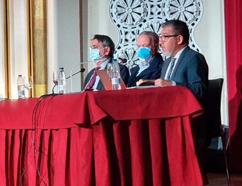 La Iglesia fundada por Cristo sigue hoy herida por el escándalo sangrante de la división en el s. XVI