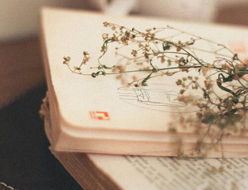 Bases del VIII Premio de Poesía Ateneo Mercantil de Valencia 2024